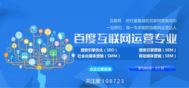 企业网络服务 分类与应用全解析